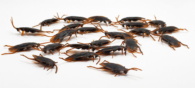 Halloween Fake Cockroach Scary Prank Toy